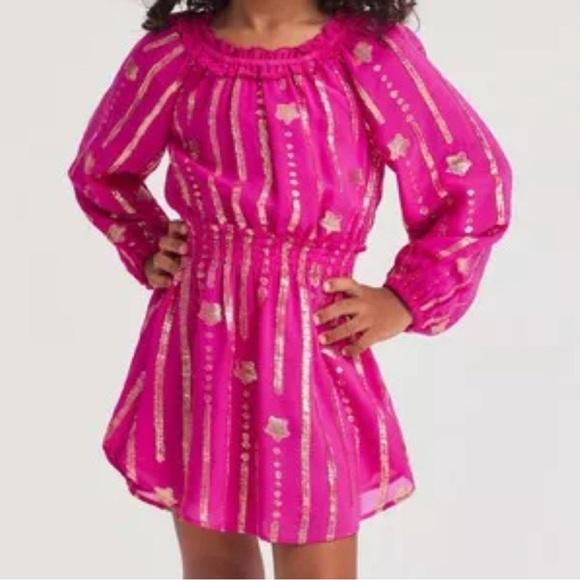 LoveShackFancy Other - LoveShackFancy Mini Popover Dress Pink Gold Star Very Berry 2/3T Girls NWT